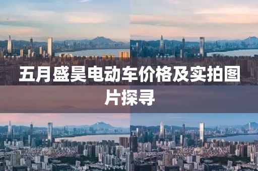 五月盛昊电动车价格及实拍图片探寻