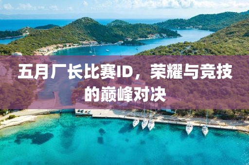 五月厂长比赛ID，荣耀与竞技的巅峰对决