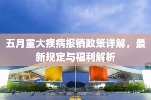 五月重大疾病报销政策详解，最新规定与福利解析