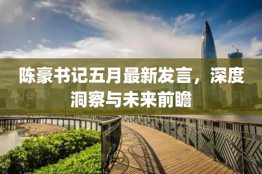 陈豪书记五月最新发言，深度洞察与未来前瞻