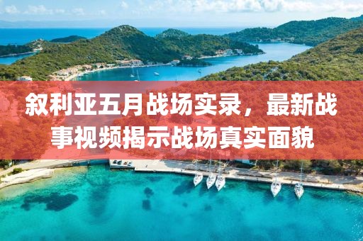 叙利亚五月战场实录，最新战事视频揭示战场真实面貌