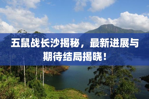 五鼠战长沙揭秘，最新进展与期待结局揭晓！