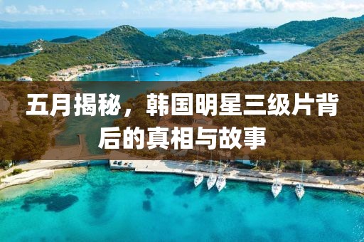 五月揭秘，韩国明星三级片背后的真相与故事