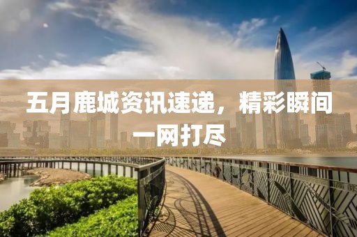 五月鹿城资讯速递，精彩瞬间一网打尽
