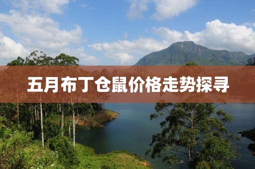 五月布丁仓鼠价格走势探寻