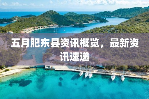 五月肥东县资讯概览，最新资讯速递