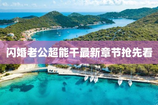 闪婚老公超能干最新章节抢先看
