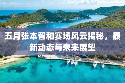 五月张本智和赛场风云揭秘，最新动态与未来展望