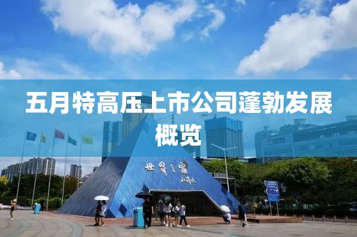 五月特高压上市公司蓬勃发展概览