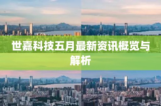 世嘉科技五月最新资讯概览与解析