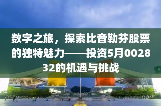 数字之旅，探索比音勒芬股票的独特魅力——投资5月002832的机遇与挑战