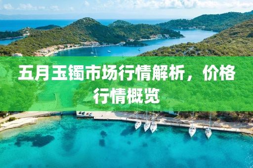 五月玉镯市场行情解析，价格行情概览