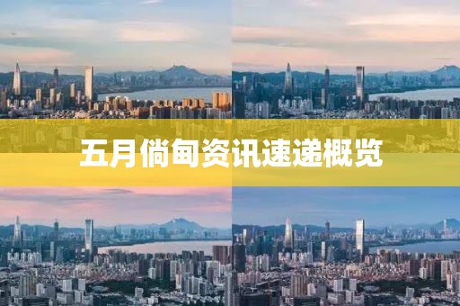 五月倘甸资讯速递概览