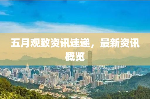 五月观致资讯速递，最新资讯概览