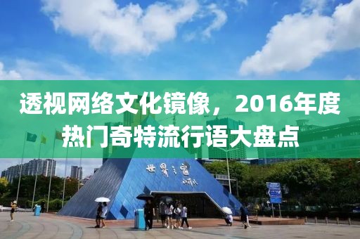 透视网络文化镜像，2016年度热门奇特流行语大盘点