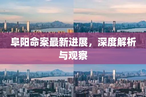 阜阳命案最新进展，深度解析与观察