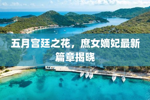 五月宫廷之花，庶女嫡妃最新篇章揭晓