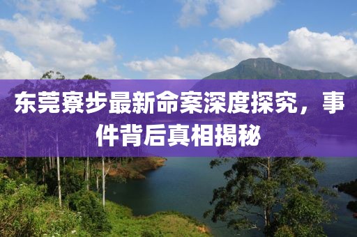 东莞寮步最新命案深度探究，事件背后真相揭秘
