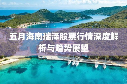 五月海南瑞泽股票行情深度解析与趋势展望