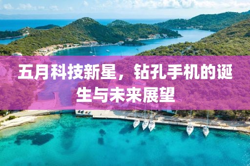 五月科技新星，钻孔手机的诞生与未来展望