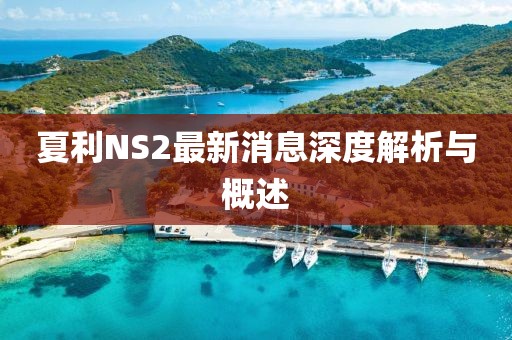 夏利NS2最新消息深度解析与概述