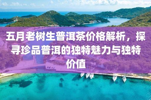 五月老树生普洱茶价格解析，探寻珍品普洱的独特魅力与独特价值