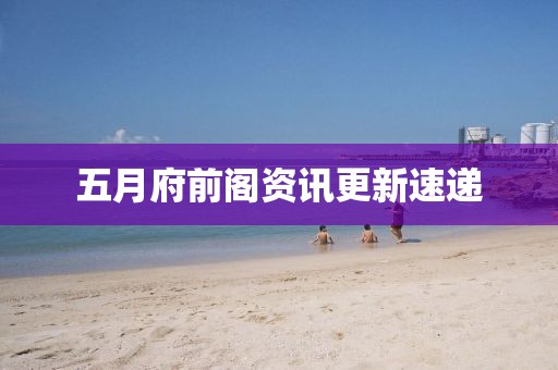 五月府前阁资讯更新速递
