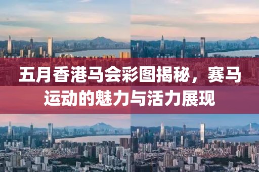 五月香港马会彩图揭秘，赛马运动的魅力与活力展现