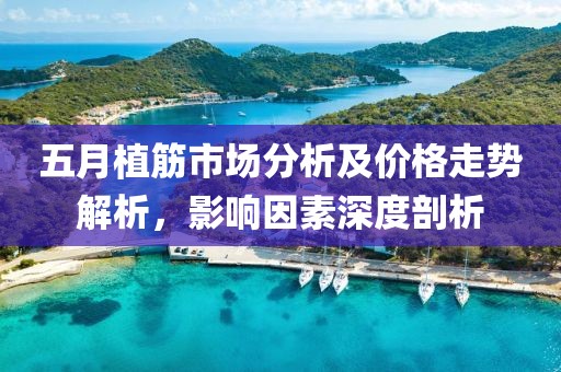 五月植筋市场分析及价格走势解析，影响因素深度剖析