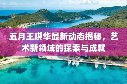 五月王琪华最新动态揭秘，艺术新领域的探索与成就