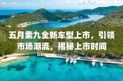 五月索九全新车型上市，引领市场潮流，揭秘上市时间