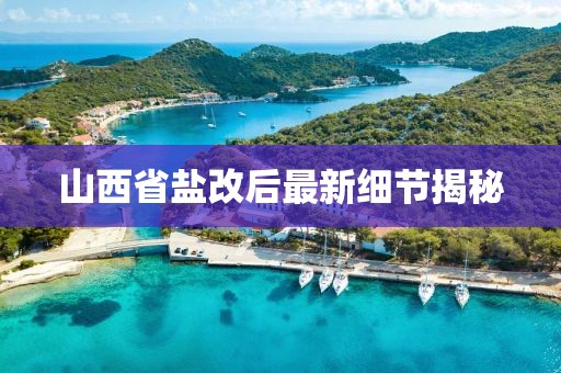山西省盐改后最新细节揭秘