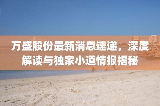 万盛股份最新消息速递，深度解读与独家小道情报揭秘