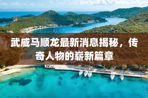 武威马顺龙最新消息揭秘，传奇人物的崭新篇章