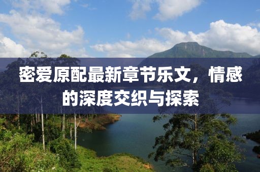 密爱原配最新章节乐文，情感的深度交织与探索