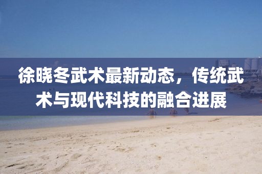 徐晓冬武术最新动态，传统武术与现代科技的融合进展