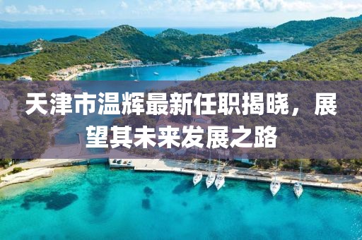 天津市温辉最新任职揭晓，展望其未来发展之路