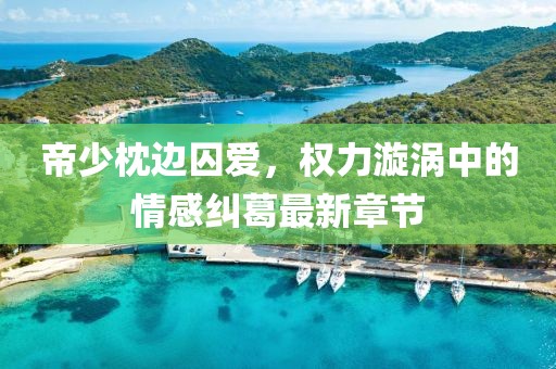 帝少枕边囚爱，权力漩涡中的情感纠葛最新章节