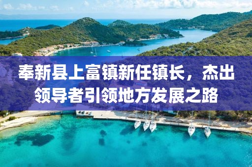 奉新县上富镇新任镇长，杰出领导者引领地方发展之路
