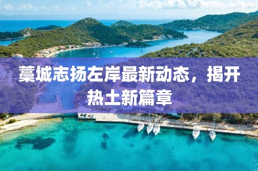藁城志扬左岸最新动态，揭开热土新篇章