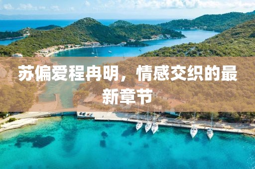 苏偏爱程冉明，情感交织的最新章节