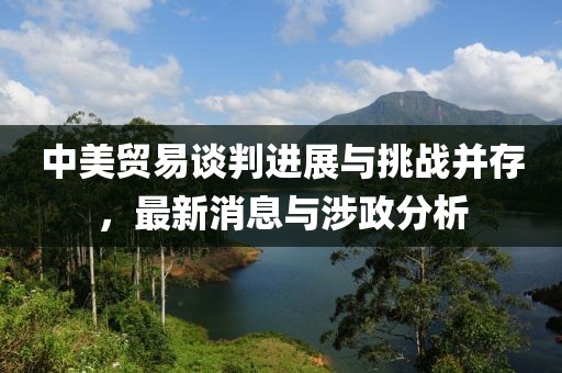 中美贸易谈判进展与挑战并存，最新消息与涉政分析