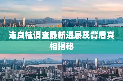连良桂调查最新进展及背后真相揭秘