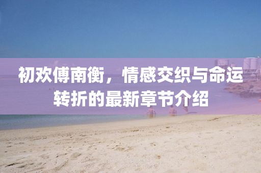 初欢傅南衡，情感交织与命运转折的最新章节介绍