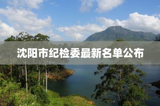 沈阳市纪检委最新名单公布