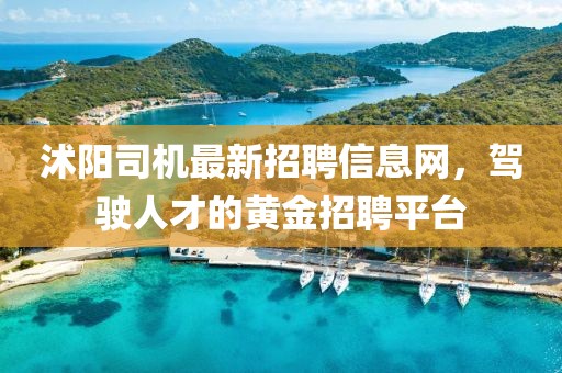 沭阳司机最新招聘信息网，驾驶人才的黄金招聘平台