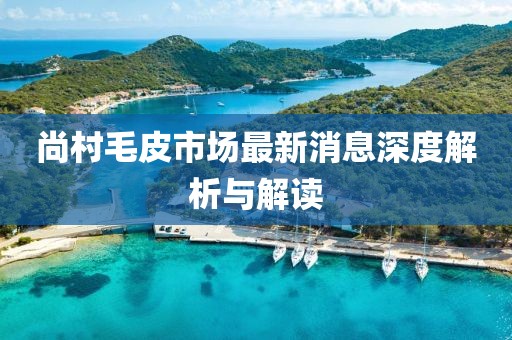 尚村毛皮市场最新消息深度解析与解读
