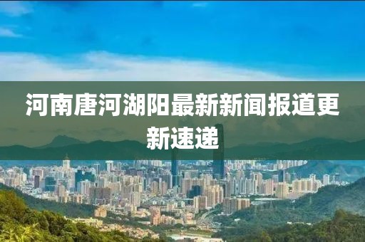 河南唐河湖阳最新新闻报道更新速递