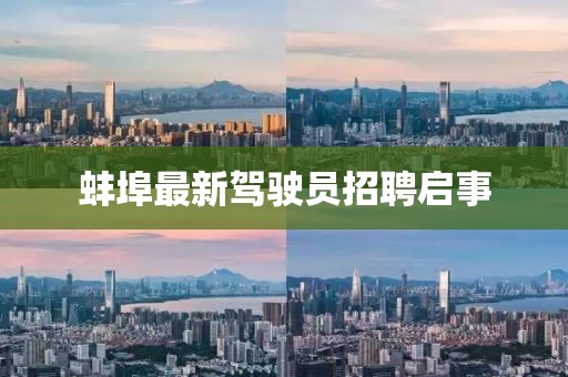 敦睦情谊 第29页
