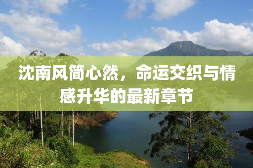 沈南风简心然，命运交织与情感升华的最新章节